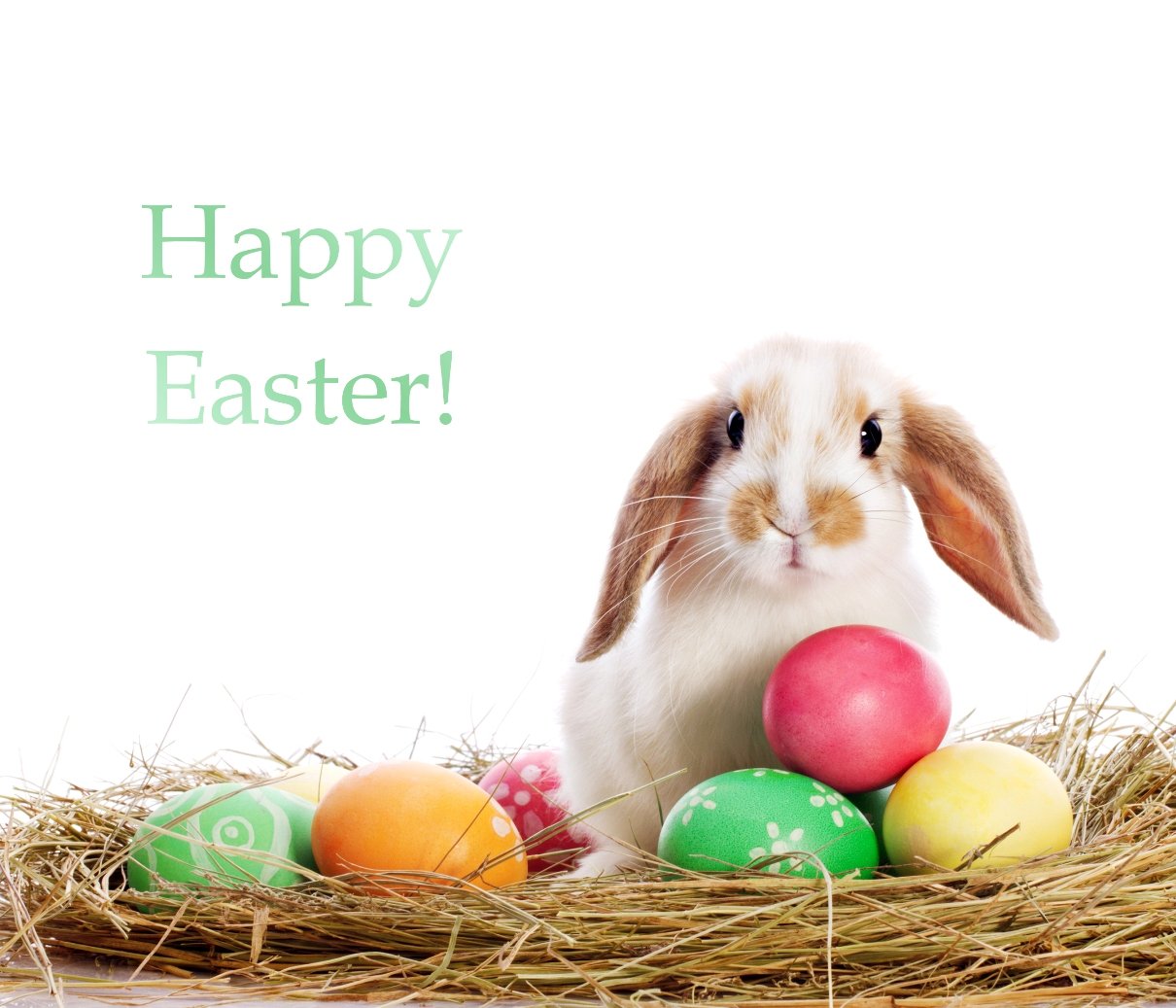 Happy Easter Charity eCard – floppy eared bunny and easter eggs