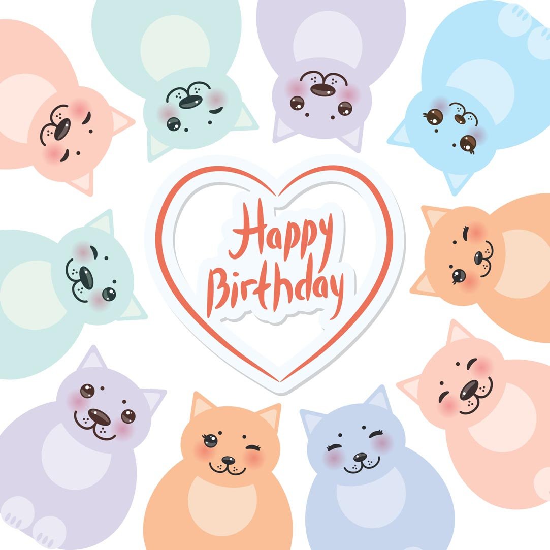 10 Cat Birthday Wishes