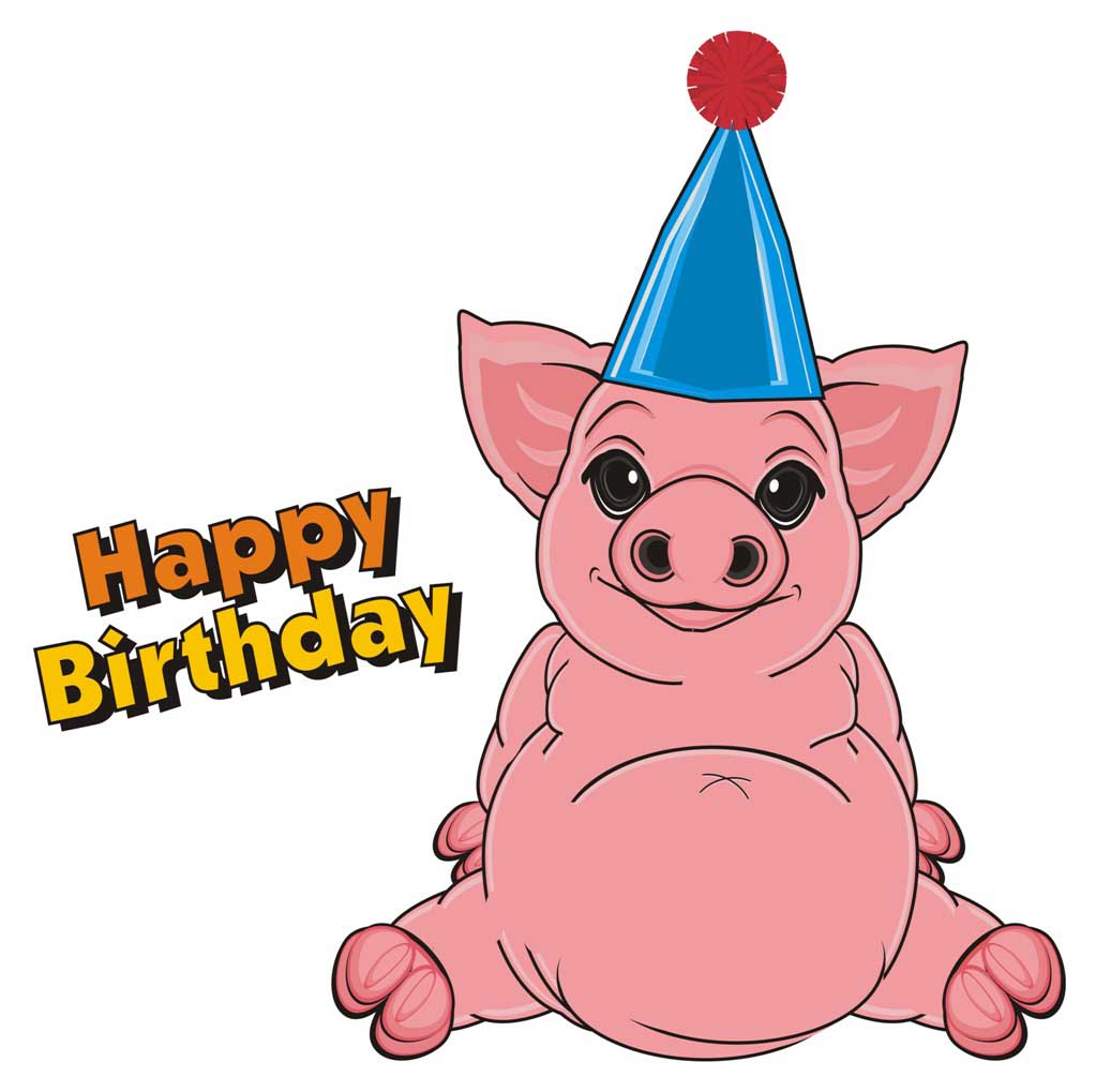 Cartoon Pig Wearing a Party Hat : Happy Birthday