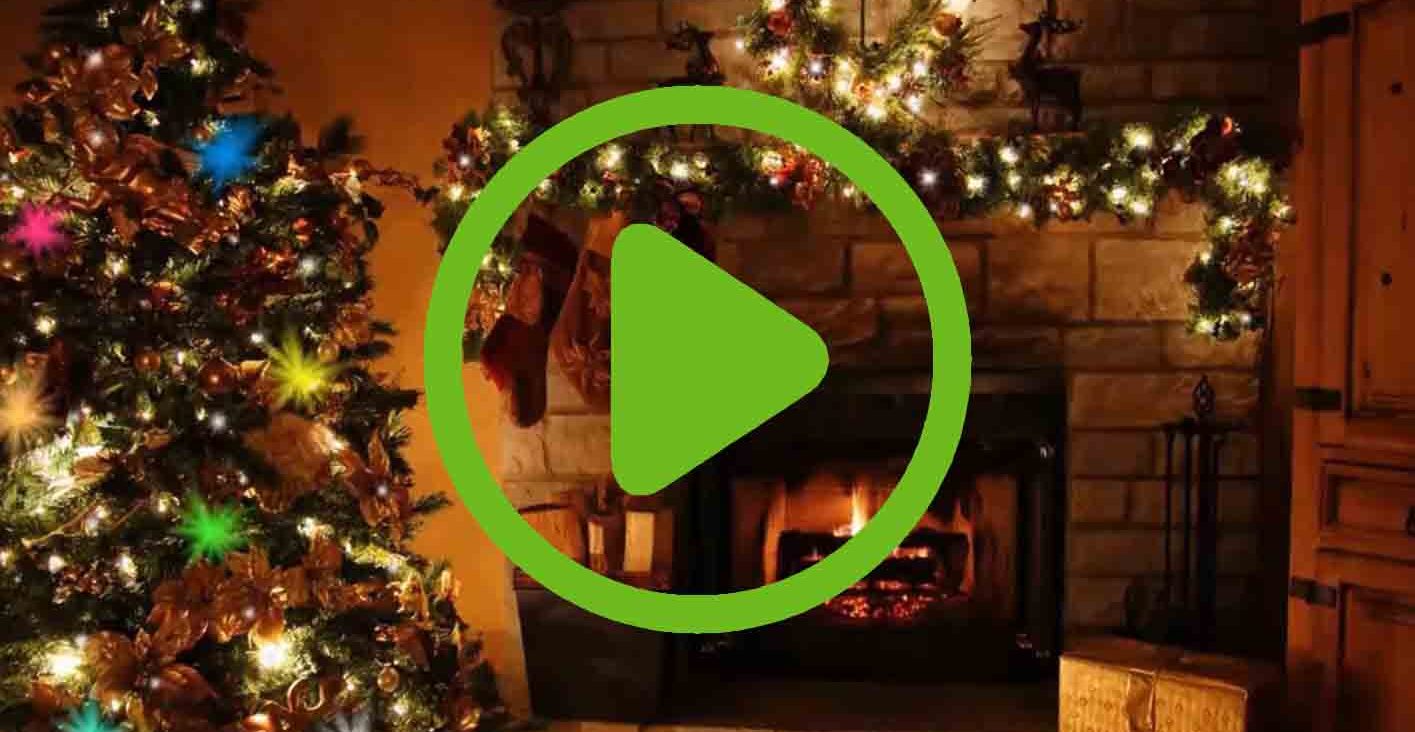 Merry Christmas Relaxing Cat Animated Video eCard with Music