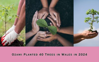 Ozami Planted 40 Trees in Wales in 2024