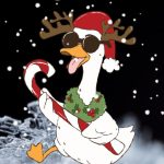 Cool Goose Christmas Digital Card